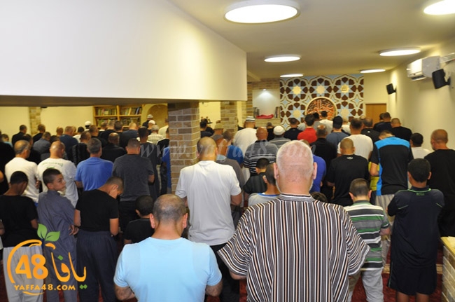 mohamed el fateh3 (18).JPG